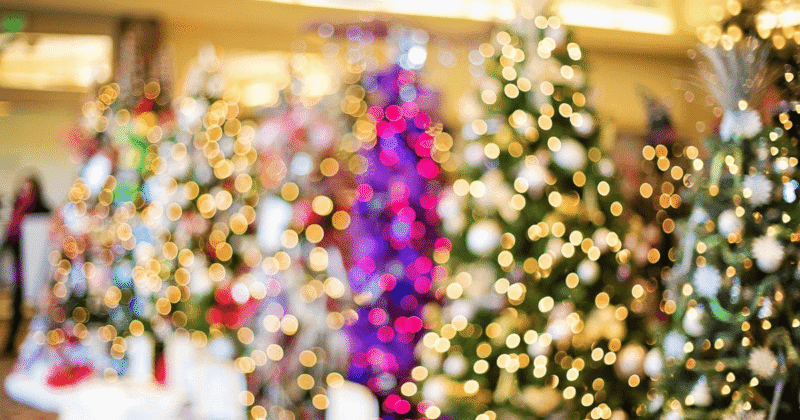 クリスマスツリーの安い時期やセールはいつ？お得に安く買う方法5選 かたさんち