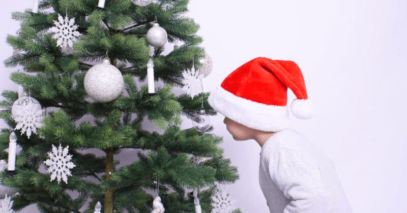 クリスマスツリーと男の子