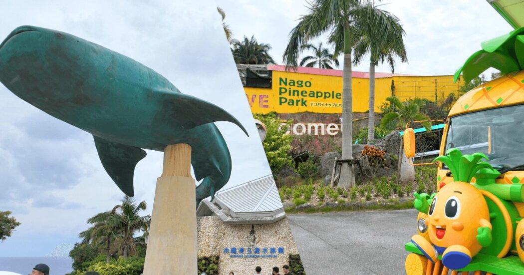 ヒルトン沖縄瀬底リゾート周辺の子連れ向けスポット3選