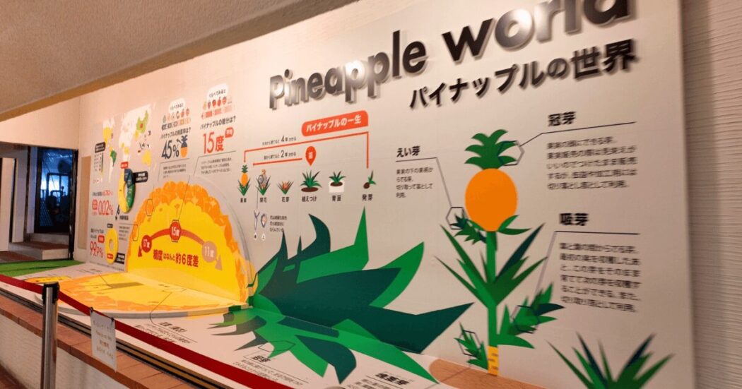 パイナップルパークは雨の日でも楽しめる？